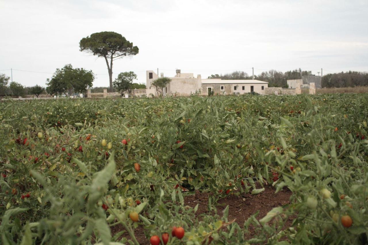 Casina Solatia Bed & Breakfast Nardo Exterior photo